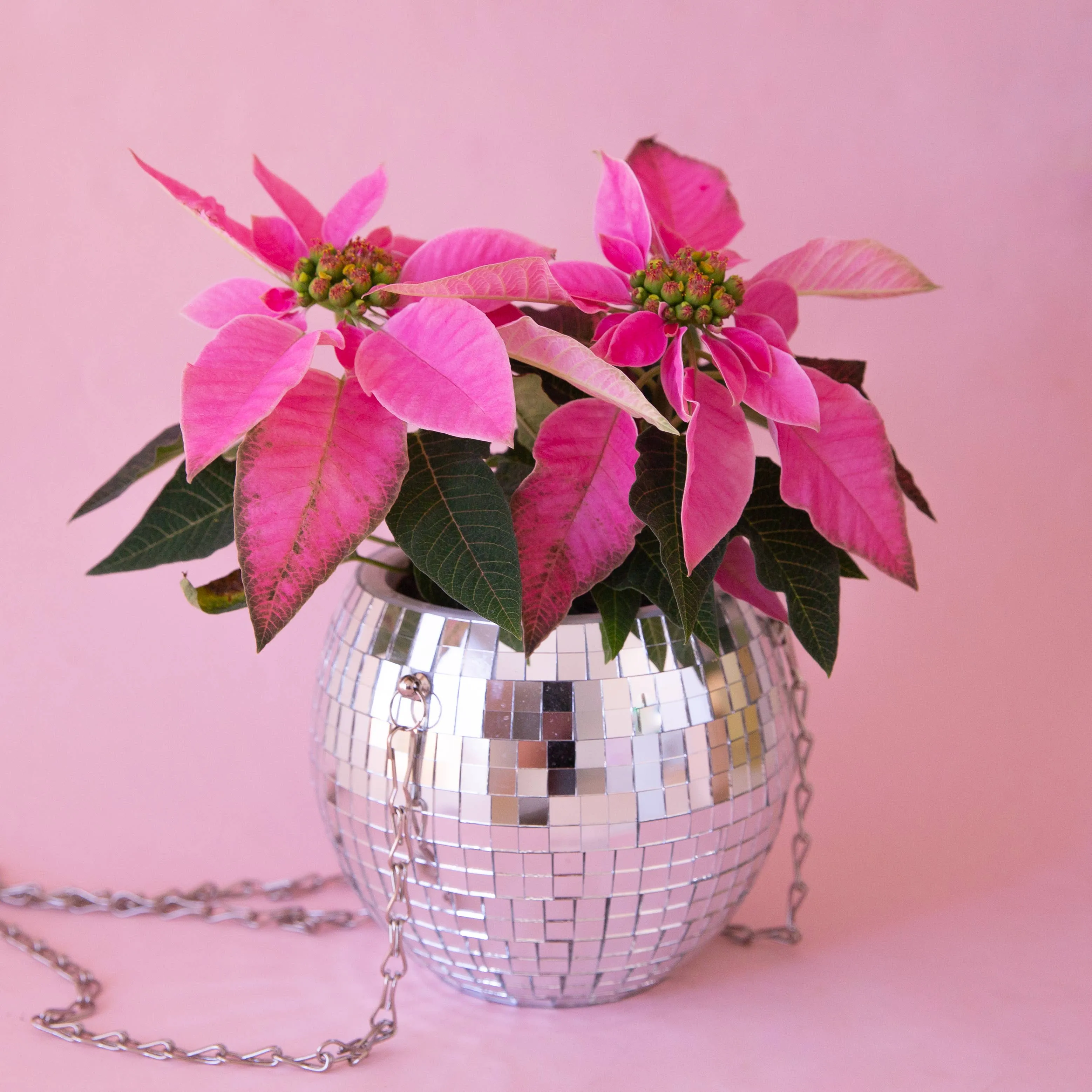 Dancing Queen 8" Disco Ball Hanging Planter