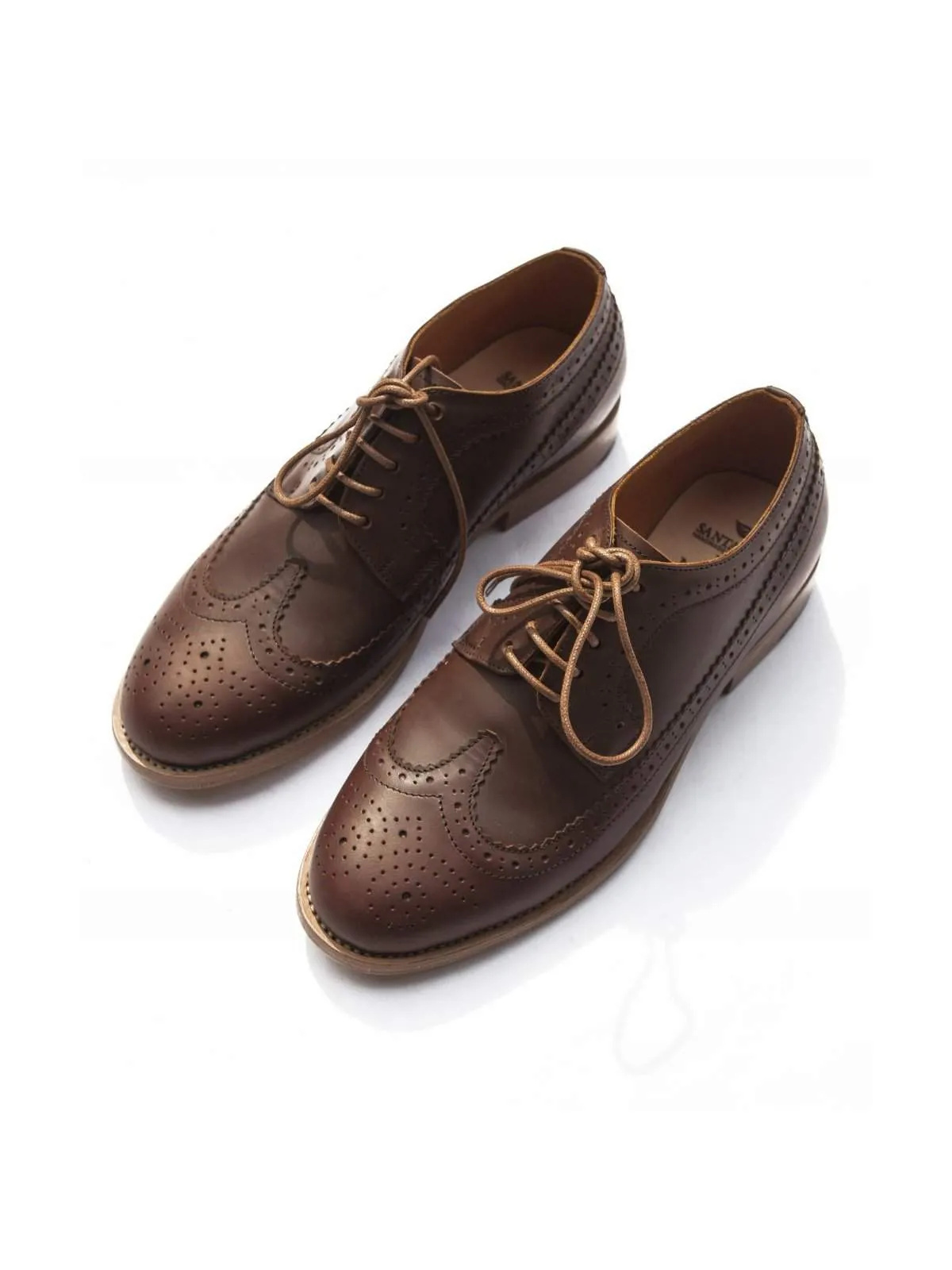 Santalum Longwing Derby Shoes Brown