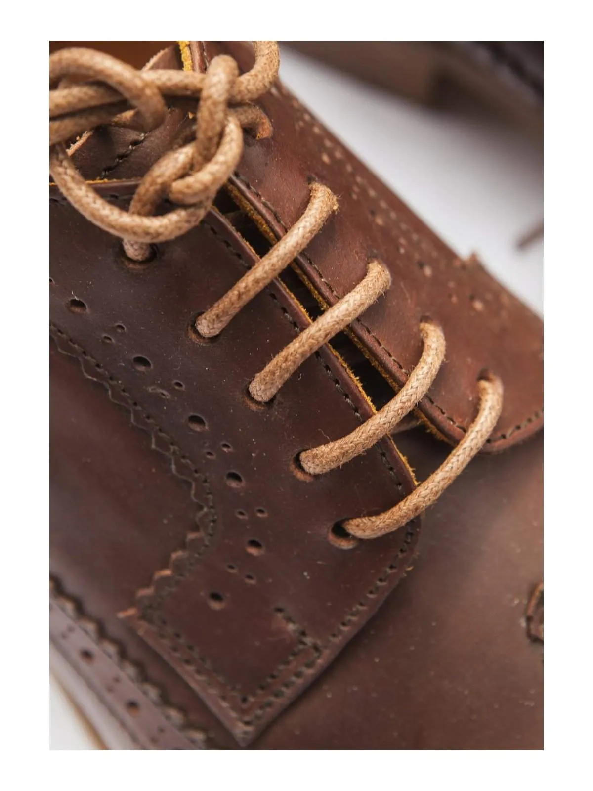 Santalum Longwing Derby Shoes Brown